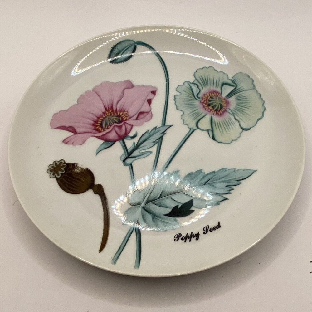 Vintage Shafford botanical 5 ceramic salad plates herbs seeds poppy ginger Japan - Picture 3 of 10